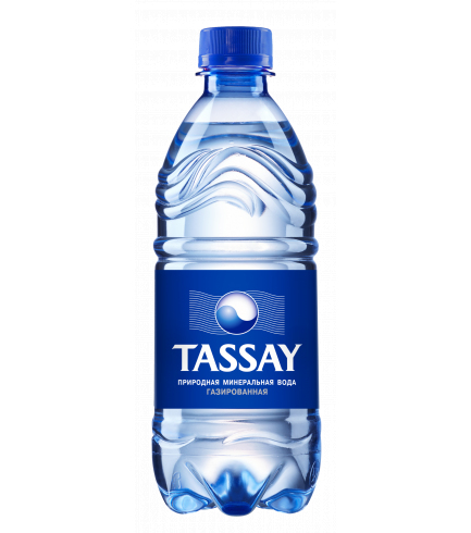 Вода питьевая TASSAY газированная 0,5 л